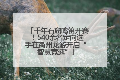 千年石窟鸣笛开赛！540余名定向选手在衢州龙游开启“智慧竞速”