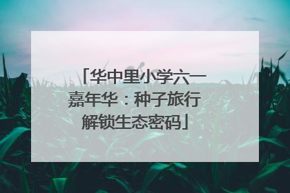 华中里小学六一嘉年华：种子旅行解锁生态密码