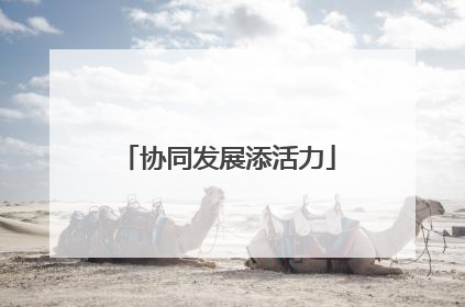 协同发展添活力