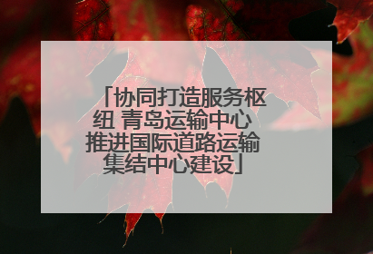 协同打造服务枢纽 青岛运输中心推进国际道路运输集结中心建设