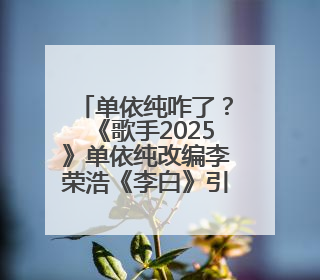 单依纯咋了？《歌手2025》单依纯改编李荣浩《李白》引热议