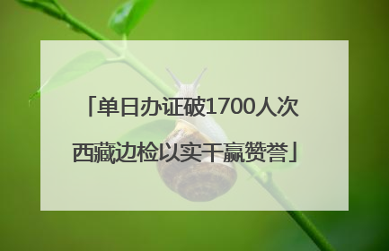 单日办证破1700人次 西藏边检以实干赢赞誉