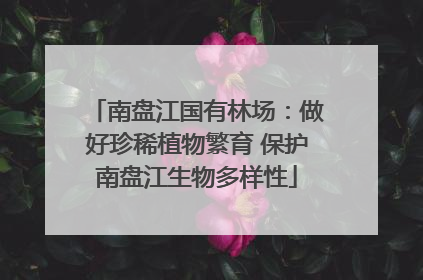 南盘江国有林场：做好珍稀植物繁育 保护南盘江生物多样性
