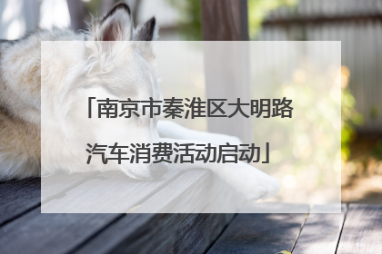 南京市秦淮区大明路汽车消费活动启动