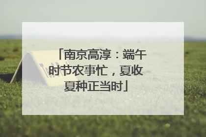 南京高淳：端午时节农事忙，夏收夏种正当时
