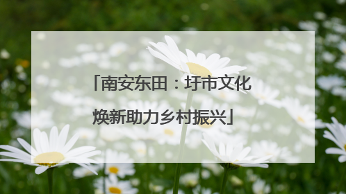 南安东田：圩市文化焕新助力乡村振兴