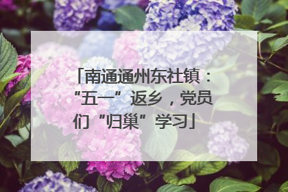 南通通州东社镇：“五一”返乡，党员们“归巢”学习