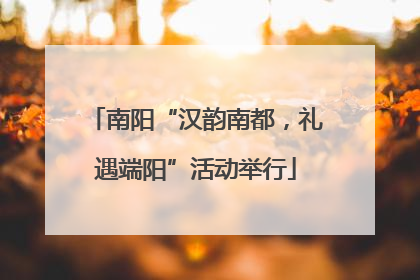南阳“汉韵南都，礼遇端阳”活动举行