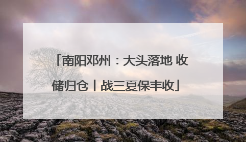 南阳邓州：大头落地 收储归仓丨战三夏保丰收
