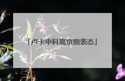 卢卡申科离京前表态