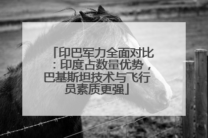 印巴军力全面对比：印度占数量优势，巴基斯坦技术与飞行员素质更强