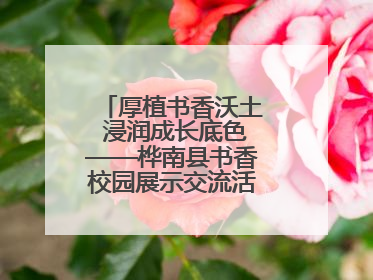 厚植书香沃土 浸润成长底色——桦南县书香校园展示交流活动圆满举行