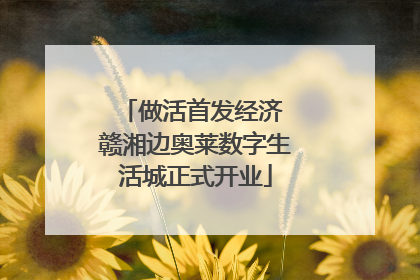做活首发经济 赣湘边奥莱数字生活城正式开业