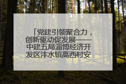 党建引领聚合力，创新驱动促发展——中建五局淄博经济开发区沣水镇高西村安置项目建设纪实
