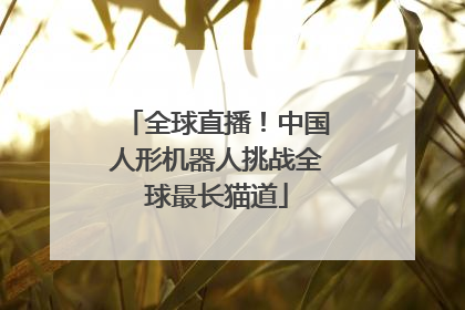 全球直播！中国人形机器人挑战全球最长猫道