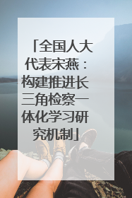 全国人大代表宋燕：构建推进长三角检察一体化学习研究机制