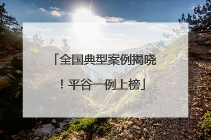 全国典型案例揭晓！平谷一例上榜