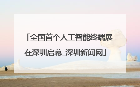 全国首个人工智能终端展在深圳启幕_深圳新闻网