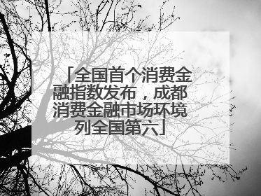 全国首个消费金融指数发布，成都消费金融市场环境列全国第六