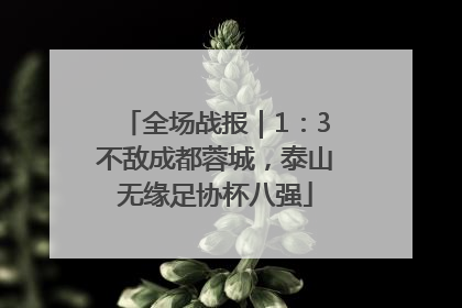 全场战报｜1：3不敌成都蓉城，泰山无缘足协杯八强