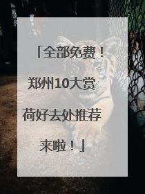 全部免费！郑州10大赏荷好去处推荐来啦！
