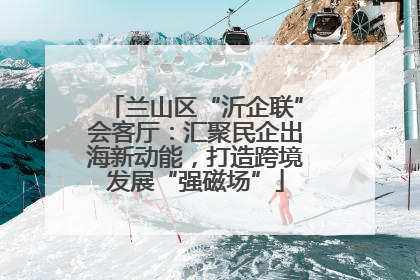 兰山区“沂企联”会客厅：汇聚民企出海新动能，打造跨境发展“强磁场”
