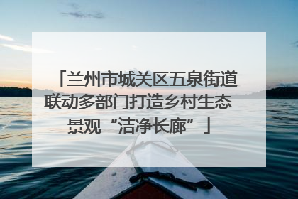 兰州市城关区五泉街道联动多部门打造乡村生态景观“洁净长廊”