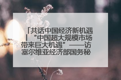 共话中国经济新机遇丨“中国超大规模市场带来巨大机遇”——访塞尔维亚经济部国务秘书尼科利奇