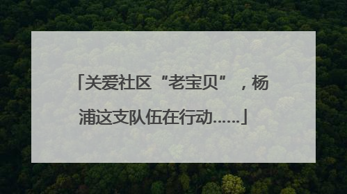 关爱社区“老宝贝”，杨浦这支队伍在行动……