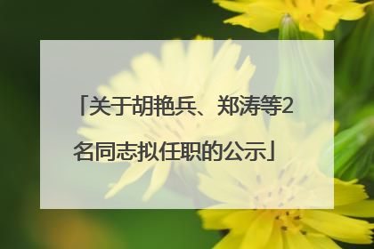 关于胡艳兵、郑涛等2名同志拟任职的公示