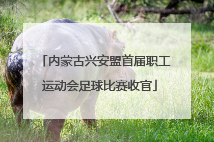内蒙古兴安盟首届职工运动会足球比赛收官