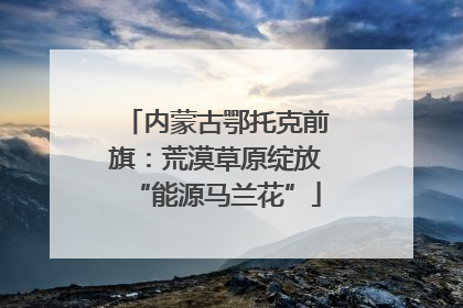 内蒙古鄂托克前旗：荒漠草原绽放“能源马兰花”