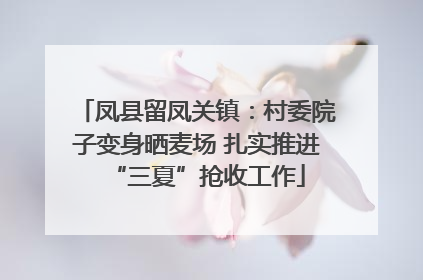 凤县留凤关镇：村委院子变身晒麦场 扎实推进“三夏”抢收工作