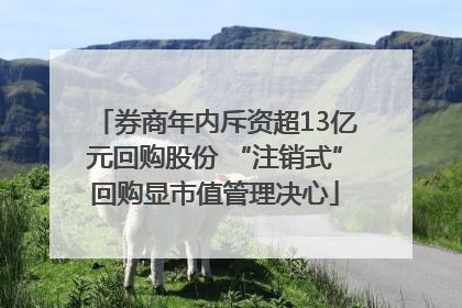 券商年内斥资超13亿元回购股份 “注销式”回购显市值管理决心