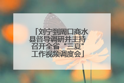 刘宁到周口商水县督导调研并主持召开全省“三夏”工作视频调度会