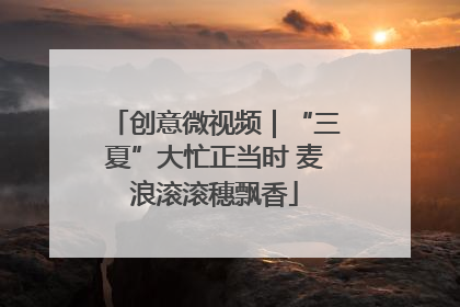 创意微视频｜“三夏”大忙正当时 麦浪滚滚穗飘香
