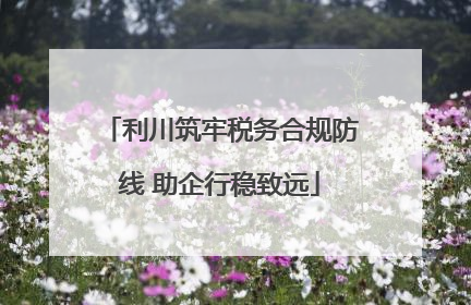 利川筑牢税务合规防线 助企行稳致远
