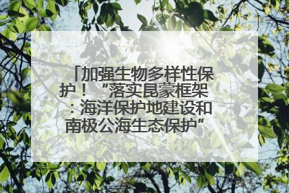 加强生物多样性保护！“落实昆蒙框架：海洋保护地建设和南极公海生态保护”主题论坛将举办