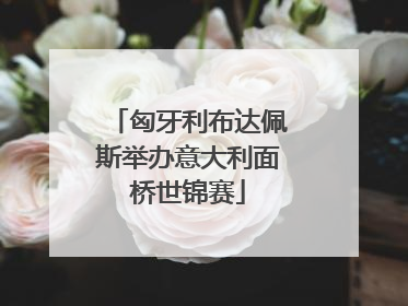 匈牙利布达佩斯举办意大利面桥世锦赛