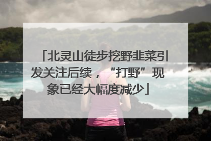 北灵山徒步挖野韭菜引发关注后续，“打野”现象已经大幅度减少