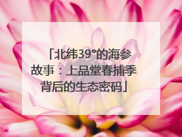北纬39°的海参故事：上品堂春捕季背后的生态密码