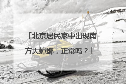 北京居民家中出现南方大蟑螂，正常吗？