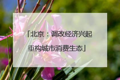 北京：调改经济兴起 重构城市消费生态