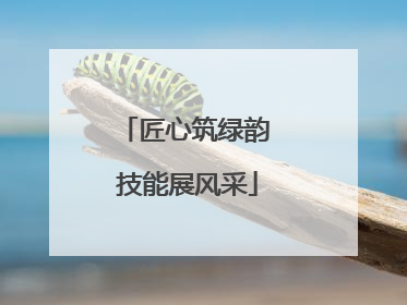 匠心筑绿韵 技能展风采