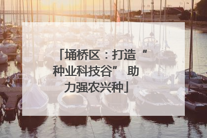 埇桥区：打造“种业科技谷” 助力强农兴种