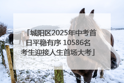 城阳区2025年中考首日平稳有序 10586名考生迎接人生首场大考