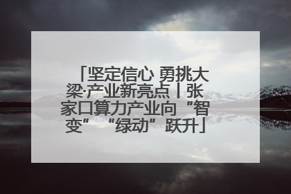 坚定信心 勇挑大梁·产业新亮点丨张家口算力产业向“智变”“绿动”跃升