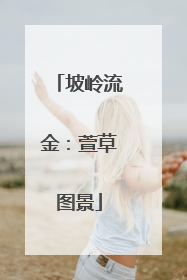 坡岭流金：萱草图景