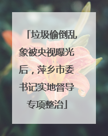 垃圾偷倒乱象被央视曝光后，萍乡市委书记实地督导专项整治