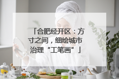 合肥经开区：方寸之间，细绘城市治理“工笔画”